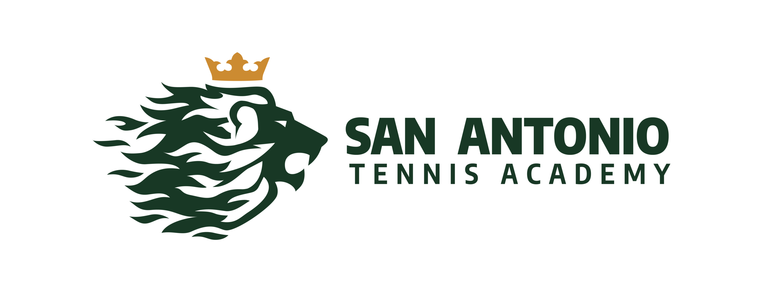 Logo-SATennisAcademy-scaled.png